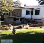 Rent 6 bedroom house of 190 m² in Pisa