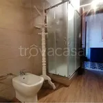 Rent 4 bedroom apartment of 110 m² in Catania