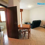 Rent 3 bedroom apartment of 49 m² in Novara