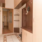 Rent 2 bedroom apartment of 43 m² in szczecin