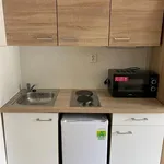 Rent 1 bedroom apartment in Brno