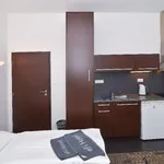 Rent 1 bedroom apartment of 24 m² in Brno