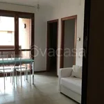 Rent 3 bedroom apartment of 62 m² in Bologna