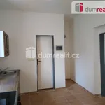 Rent 1 bedroom apartment of 40 m² in Kácov