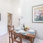 Rent 3 bedroom apartment of 55 m² in Firenze