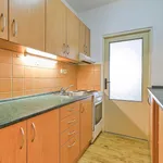 Rent 1 bedroom apartment in Uherské Hradiště