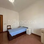 Rent 1 bedroom apartment of 15 m² in Cassino