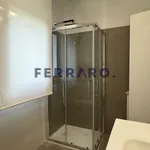 Rent 1 bedroom apartment of 70 m² in Treviso