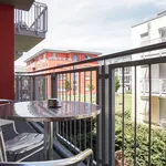 Rent 1 bedroom apartment in Berlin