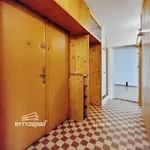 Rent 2 bedroom apartment of 62 m² in Plzeň