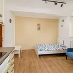 Studio o rozloze 30 m² v prague