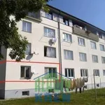 Rent 2 bedroom apartment of 52 m² in Roztoky