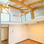 Rent 1 bedroom apartment of 120 m² in Olomouc