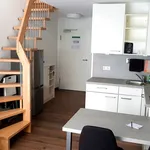 Miete 3 Schlafzimmer wohnung von 46 m² in Neckarwestheim