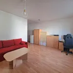 Rent 1 bedroom apartment of 35 m² in Capital City of Prague