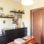 Rent 1 bedroom apartment in rome