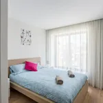 Rent 1 bedroom apartment in Porto