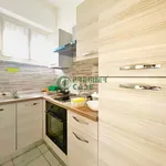 Rent 2 bedroom apartment of 55 m² in Turin