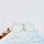 Rent 2 bedroom apartment in madrid