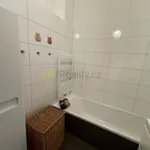 Rent 1 bedroom apartment of 98 m² in Brno