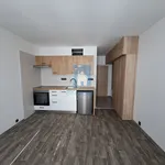 Pronajměte si 1 ložnic/e byt o rozloze 27 m² v Pilsen