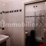 Rent 1 bedroom apartment of 110 m² in Piacenza