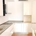 Rent 2 bedroom apartment of 55 m² in Milano