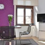 Rent 1 bedroom apartment of 40 m² in Brno