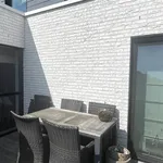 Rent 2 bedroom apartment in KEERBERGEN