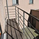 Rent 1 bedroom apartment in Zulte