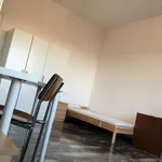 Rent a room in bologna