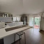 Rent 4 bedroom apartment of 85 m² in Massa