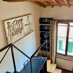 Rent 1 bedroom apartment of 65 m² in florence