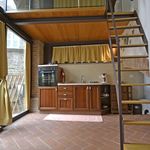 Rent 2 bedroom apartment of 50 m² in Cortona