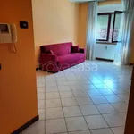 Rent 3 bedroom apartment of 72 m² in Teramo