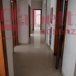 Rent 3 bedroom apartment of 80 m² in Cosenza