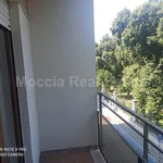 Rent 4 bedroom apartment of 150 m² in Caserta