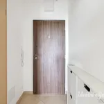 Rent 1 bedroom apartment in Praha 8