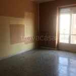 Rent 3 bedroom apartment of 80 m² in Turin