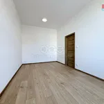 Rent 3 bedroom apartment in Hodonín