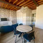 Rent 3 bedroom apartment of 80 m² in Lucca