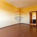 Rent 3 bedroom apartment of 94 m² in Roma