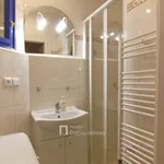 Rent 1 bedroom apartment of 45 m² in Prague