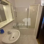 Rent 3 bedroom apartment of 63 m² in Plzeň