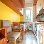 Rent 1 bedroom apartment of 40 m² in Milano