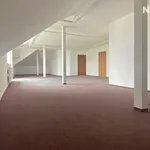 Pronajměte si 3 ložnic/e byt o rozloze 130 m² v České Budějovice