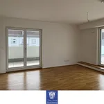 Rent 4 bedroom apartment of 167 m² in Dresden