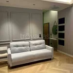 Rent 1 bedroom apartment of 40 m² in Torino