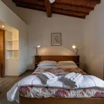 Rent 2 bedroom apartment of 100 m² in florence