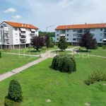 Rent 2 bedroom apartment of 81 m² in Gallarate